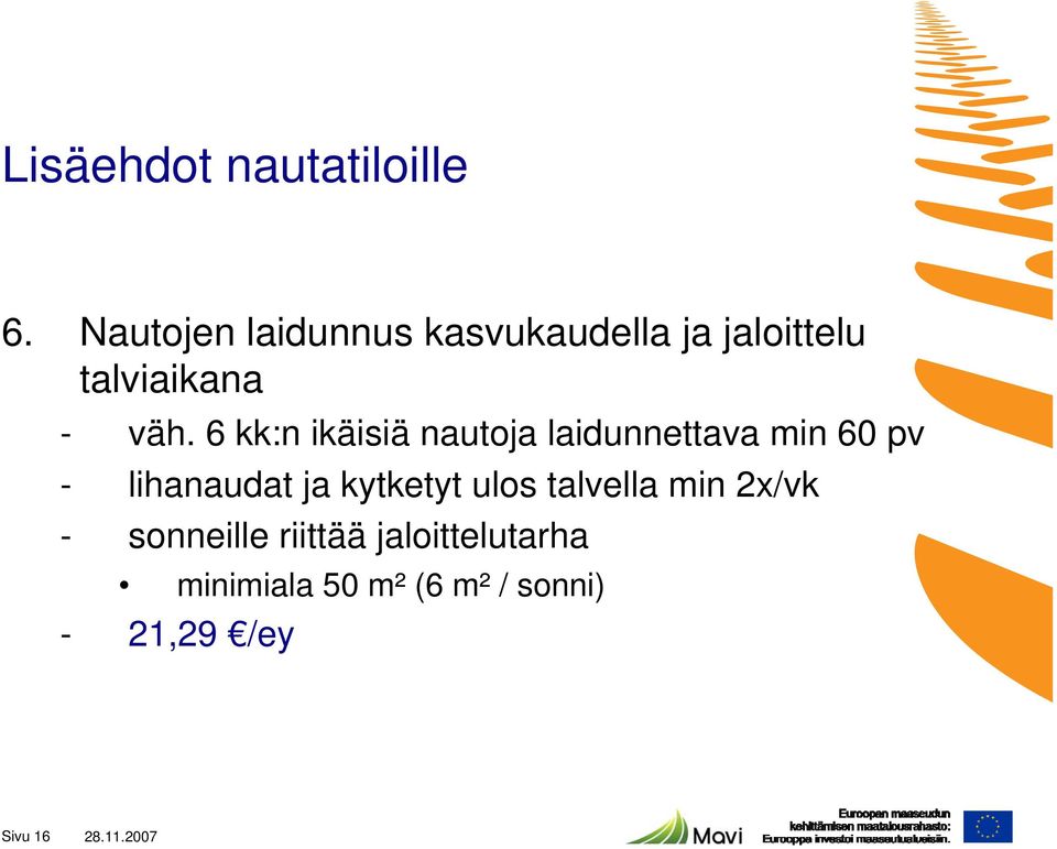 6 kk:n ikäisiä nautoja laidunnettava min 60 pv - lihanaudat ja kytketyt