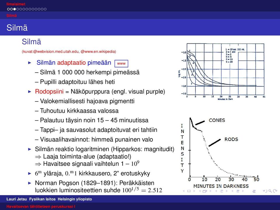 visual purple) Valokemiallisesti hajoava pigmentti Tuhoutuu kirkkaassa valossa Palautuu täysin noin 15 45 minuutissa Tappi ja sauvasolut adaptoituvat eri