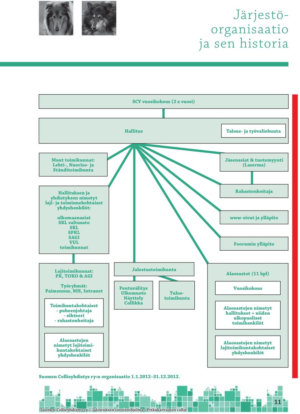 Lajitoimikunnat: PK, TOKO & AGI Jalostustoimikunta Alaosastot (11 kpl) Työryhmät: Paimennus, MH, Intranet Toimikuntakohtaiset - puheenjohtaja - sihteeri - rahastonhoitaja Pentuvälitys Ulkomuoto