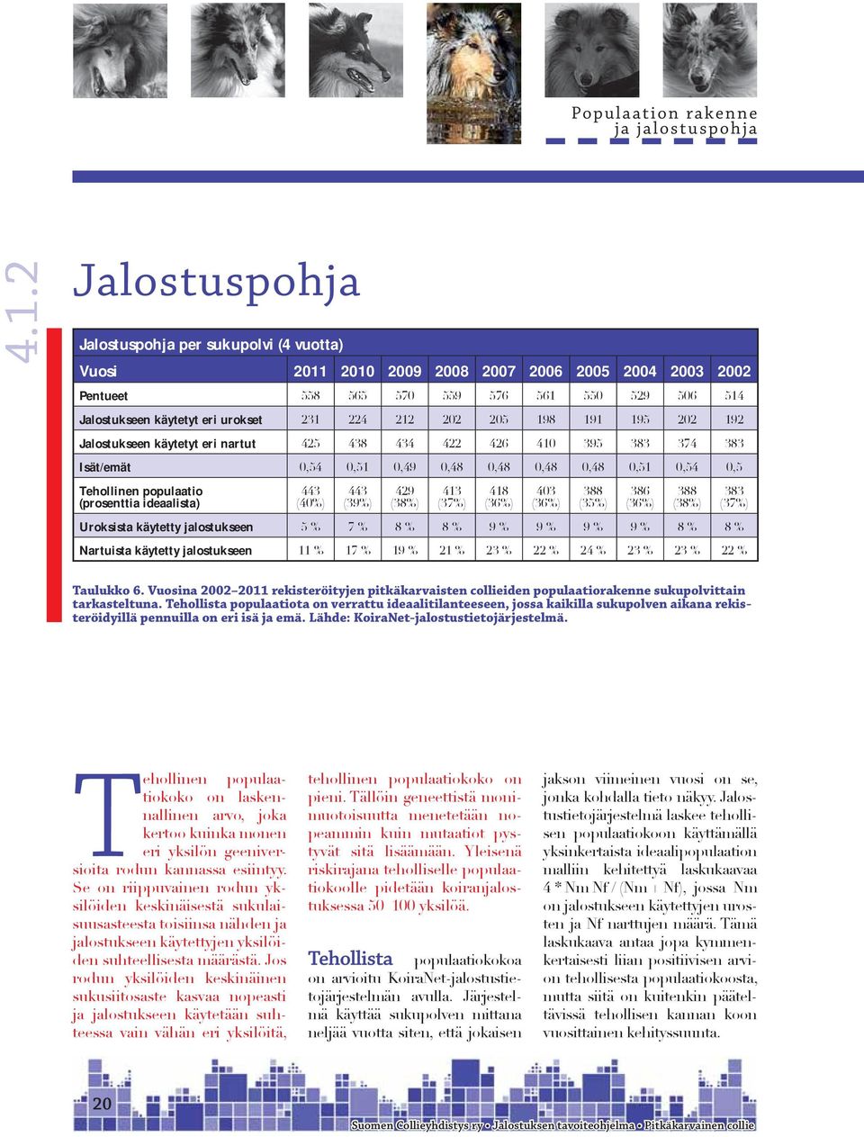 0,54 0,5 Tehollinen populaatio (prosenttia ideaalista) 443 (40%) 443 (39%) 429 (38%) 413 (37%) 418 (36%) 403 (36%) 388 (35%) 386 (36%) 388 (38%) Uroksista käytetty jalostukseen 5 % 7 % 8 % 8 % 9 % 9