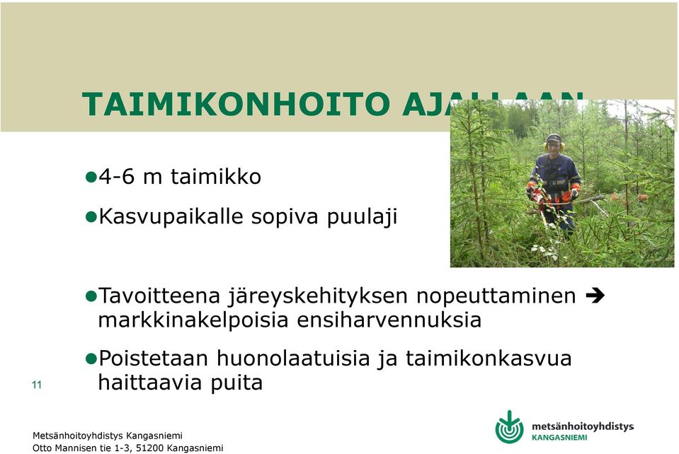 nopeuttaminen markkinakelpoisia ensiharvennuksia 11