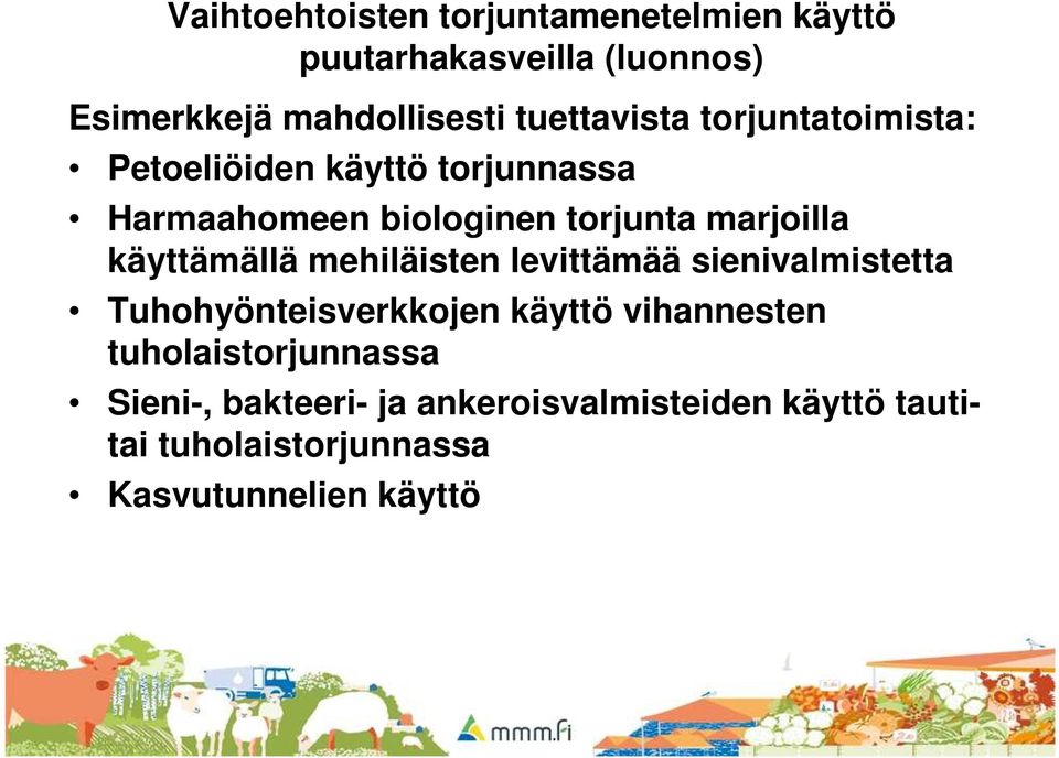 marjoilla käyttämällä mehiläisten levittämää sienivalmistetta Tuhohyönteisverkkojen käyttö vihannesten