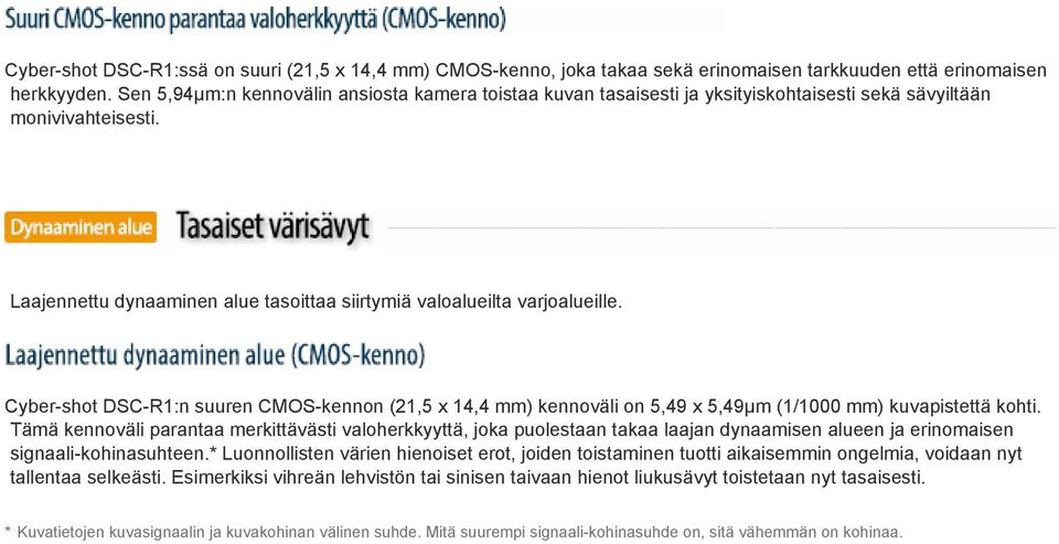 Cyber-shot DSC-R1:n suuren CMOS-kennon (21,5 x 14,4 mm) kennoväli on 5,49 x 5,49μm (1/1000 mm) kuvapistettä kohti.