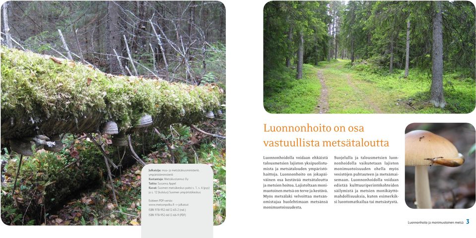 ) ISBN 978-952-6612-66-9 (PDF) Luonnonhoidolla voidaan ehkäistä talousmetsien lajiston yksipuolistumista ja metsätalouden ympäristöhaittoja.