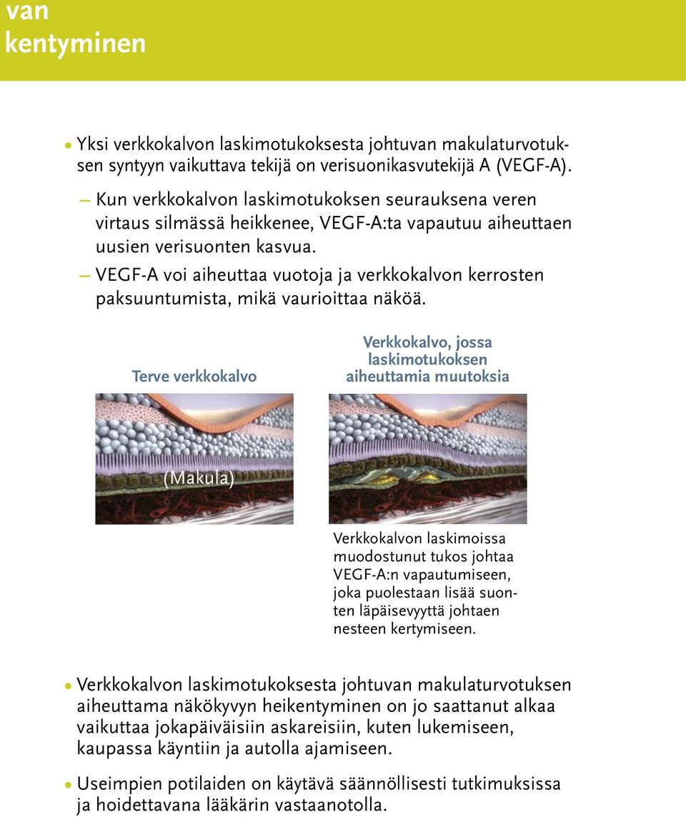 VEGF-A voi aiheuttaa vuotoja ja verkkokalvon kerrosten paksuuntumista, mikä vaurioittaa näköä.