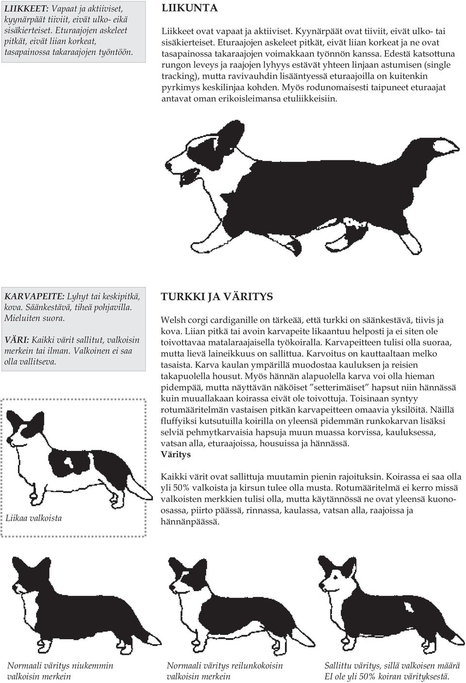 Eturaajojen askeleet pitkät, eivät liian korkeat ja ne ovat tasapainossa takaraajojen voimakkaan työnnön kanssa.