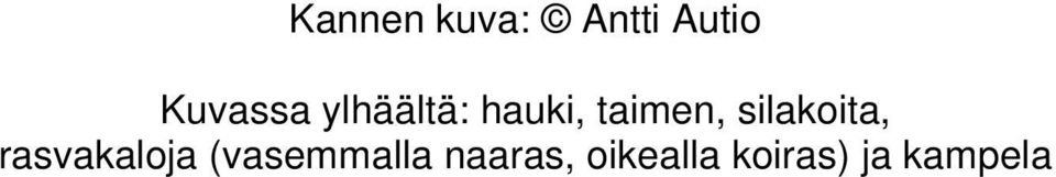taimen, silakoita, rasvakaloja