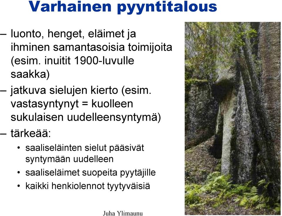 vastasyntynyt = kuolleen sukulaisen uudelleensyntymä) tärkeää: saaliseläinten