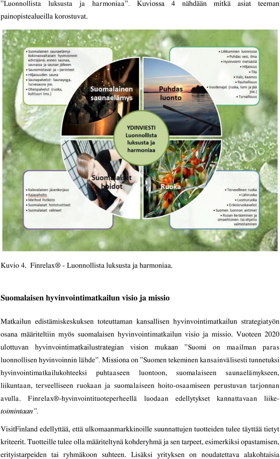 ja missio. Vuoteen 2020 ulottuvan hyvinvointimatkailustrategian vision mukaan Suomi on maailman paras luonnollisen hyvinvoinnin lähde.