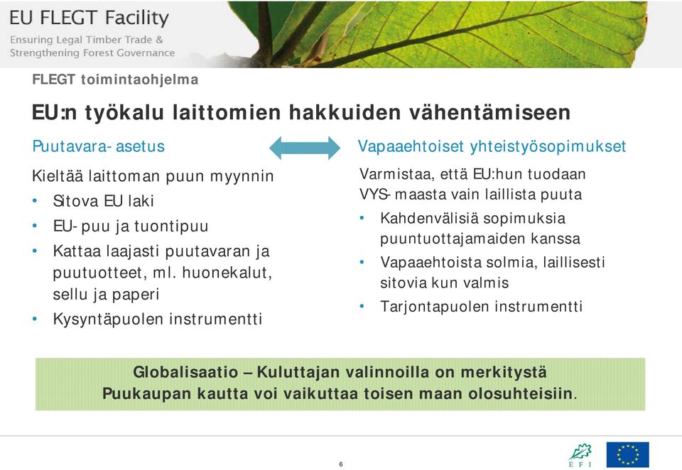 huonekalut, sellu ja paperi Kysyntäpuolen instrumentti Vapaaehtoiset yhteistyösopimukset Varmistaa, että EU:hun tuodaan VYS-maasta vain laillista