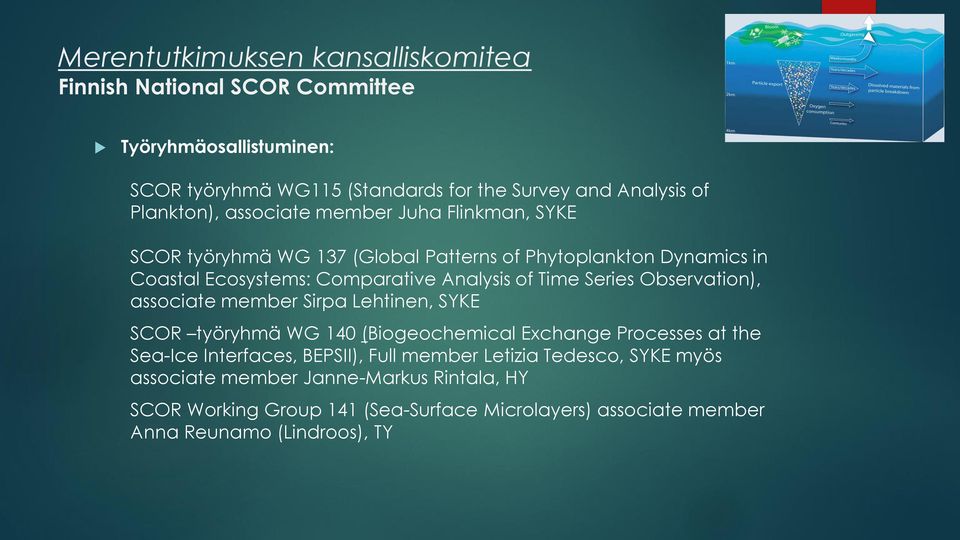 member Sirpa Lehtinen, SYKE SCOR työryhmä WG 140 (Biogeochemical Exchange Processes at the Sea-Ice Interfaces, BEPSII), Full member Letizia