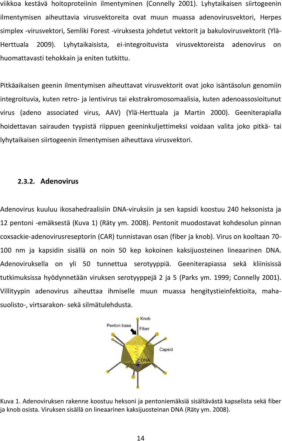 bakulovirusvektorit (Ylä- Herttuala 2009). Lyhytaikaisista, ei-integroituvista virusvektoreista adenovirus on huomattavasti tehokkain ja eniten tutkittu.