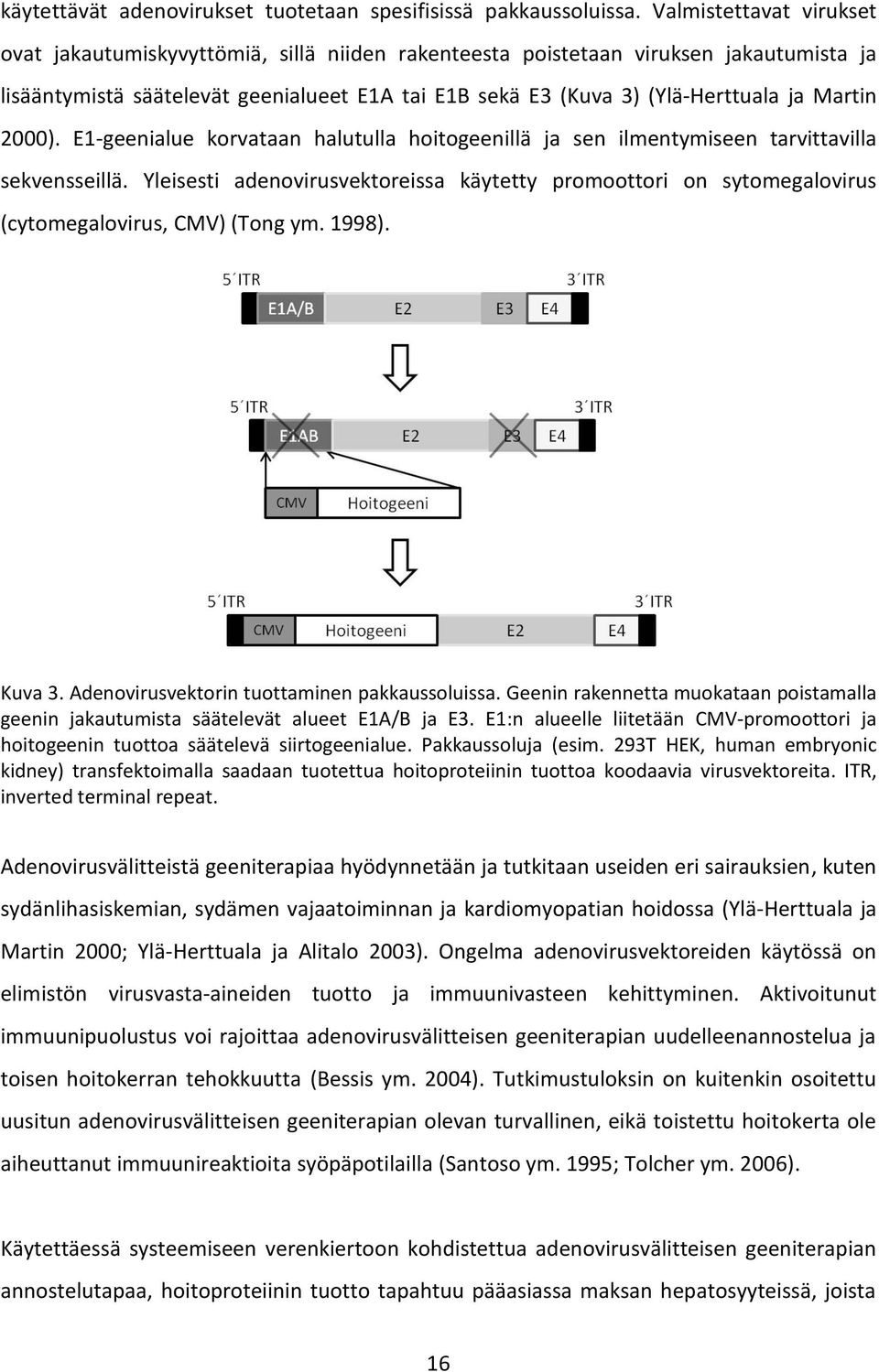 Martin 2000). E1-geenialue korvataan halutulla hoitogeenillä ja sen ilmentymiseen tarvittavilla sekvensseillä.