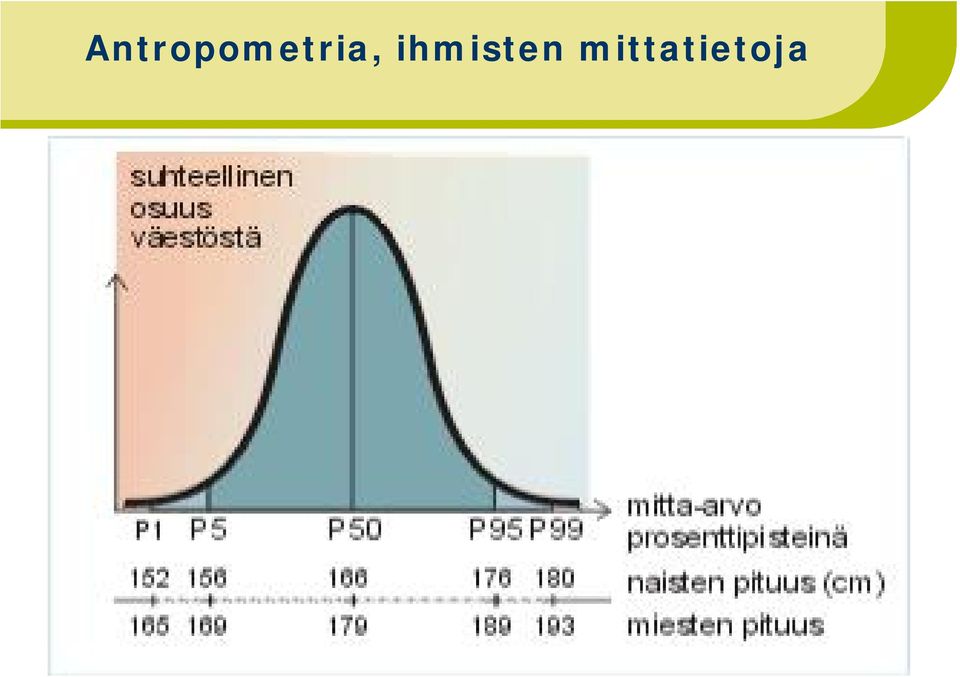 Ergonomia TKK /