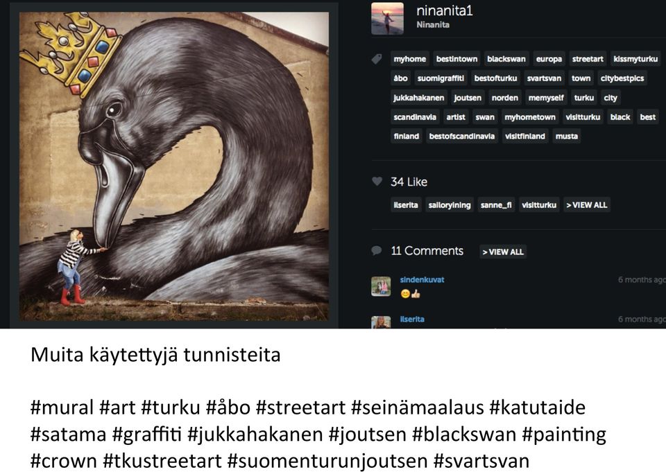 #graffid #jukkahakanen #joutsen #blackswan