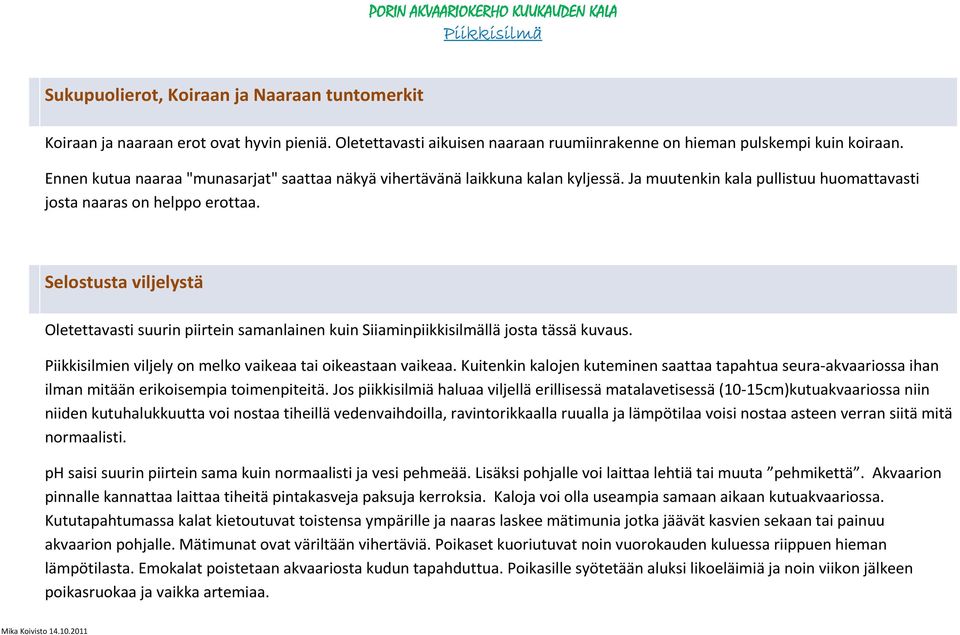 Selostusta viljelystä Oletettavasti suurin piirtein samanlainen kuin Siiaminpiikkisilmällä josta tässä kuvaus. Piikkisilmien viljely on melko vaikeaa tai oikeastaan vaikeaa.