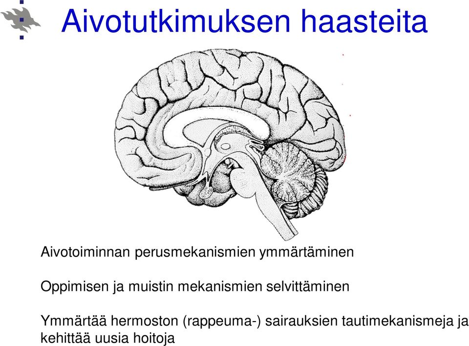 mekanismien selvittäminen Ymmärtää hermoston