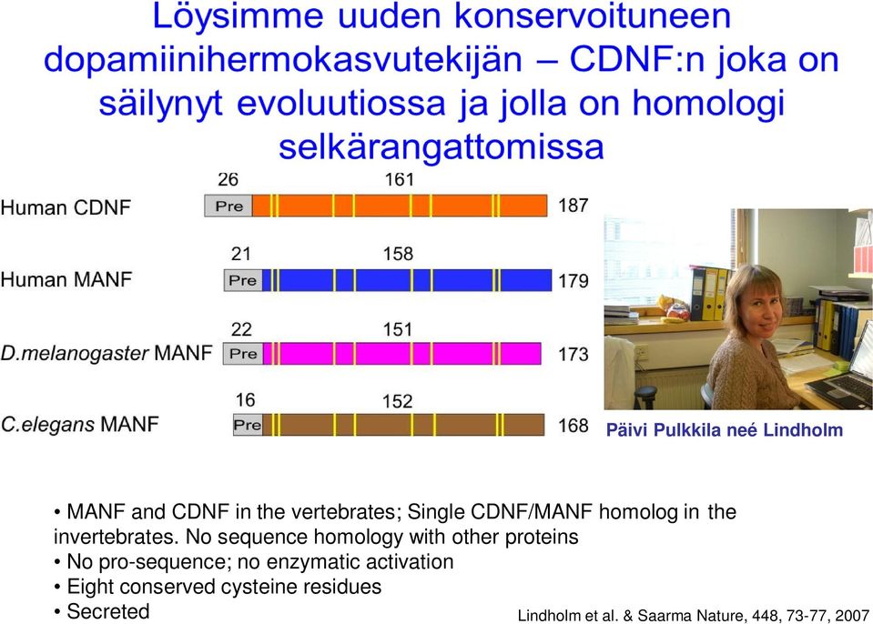 No sequence homology with other proteins No pro-sequence; no enzymatic