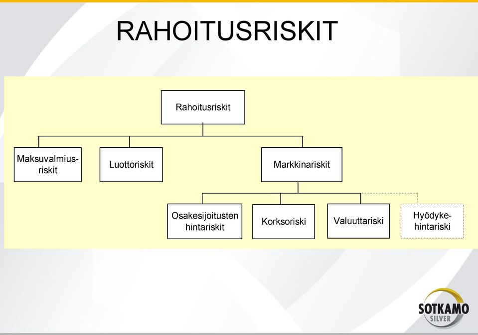 Markkinariskit Osakesijoitusten