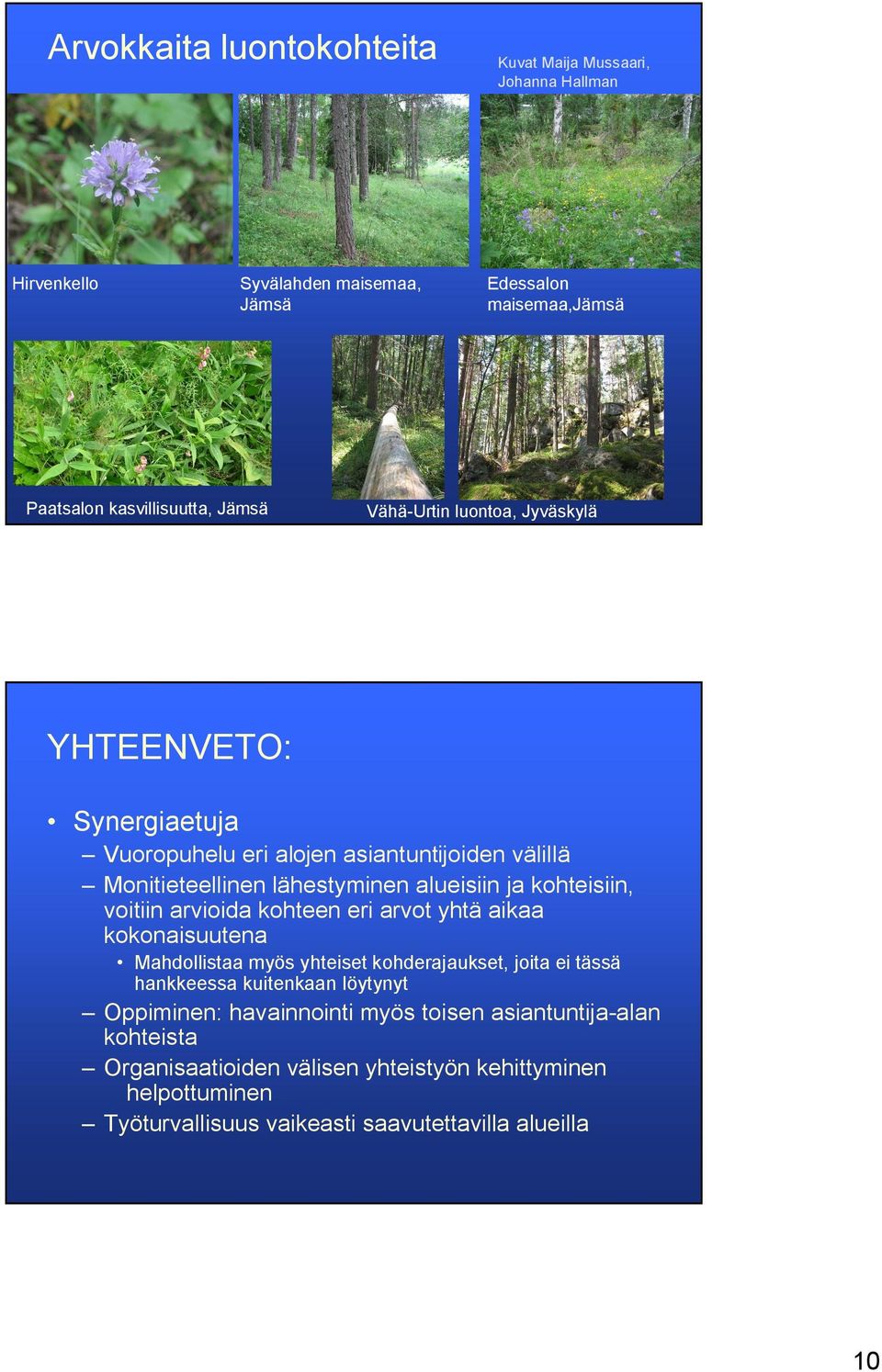 voitiin arvioida kohteen eri arvot yhtä aikaa kokonaisuutena Mahdollistaa myös yhteiset kohderajaukset, joita ei tässä hankkeessa kuitenkaan löytynyt Oppiminen: