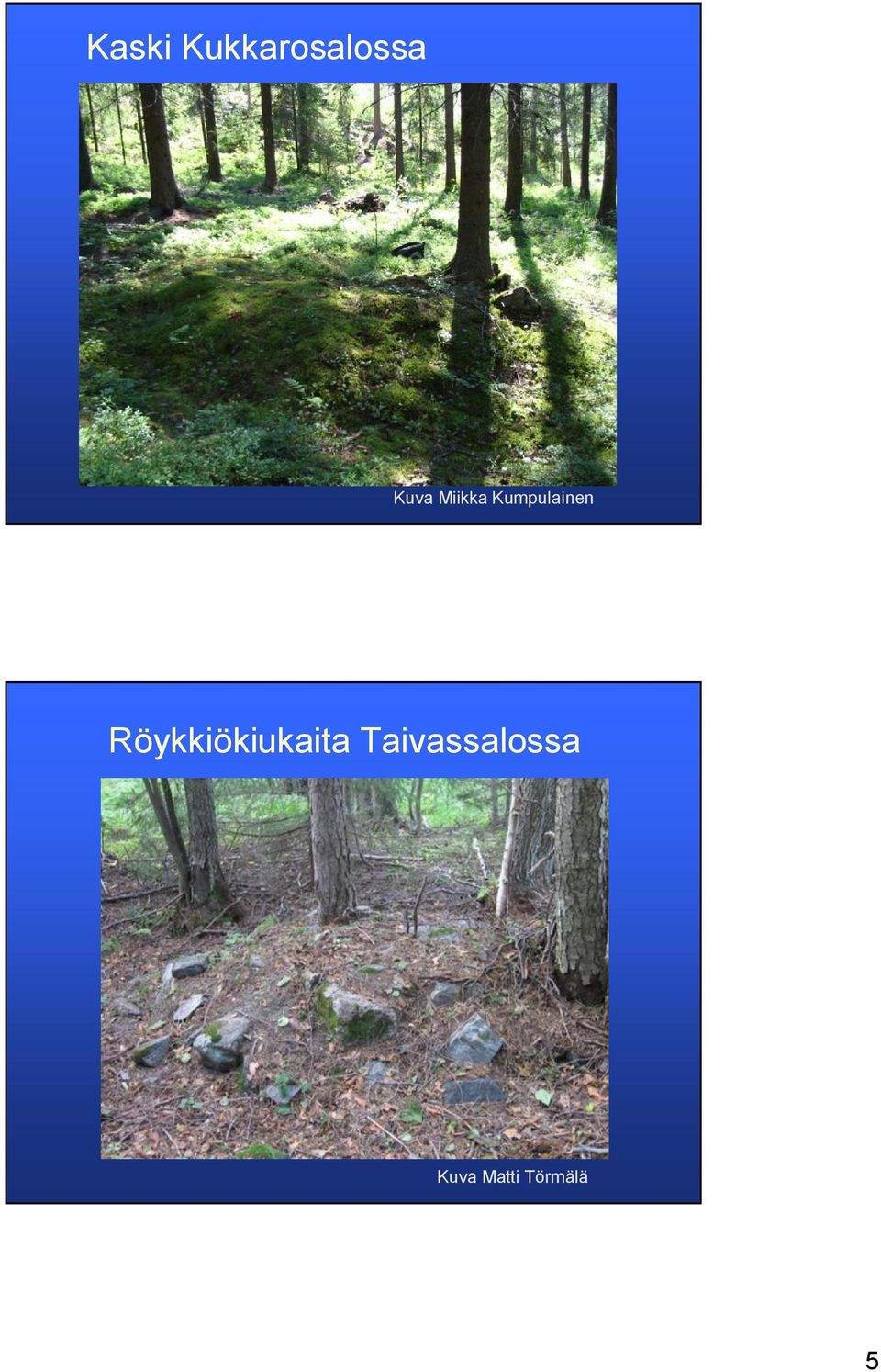 Röykkiökiukaita