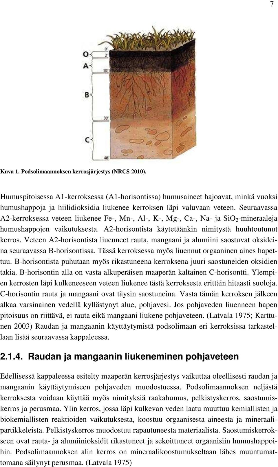 Seuraavassa A2-kerroksessa veteen liukenee Fe-, Mn-, Al-, K-, Mg-, Ca-, Na- ja SiO 2 -mineraaleja humushappojen vaikutuksesta. A2-horisontista käytetäänkin nimitystä huuhtoutunut kerros.