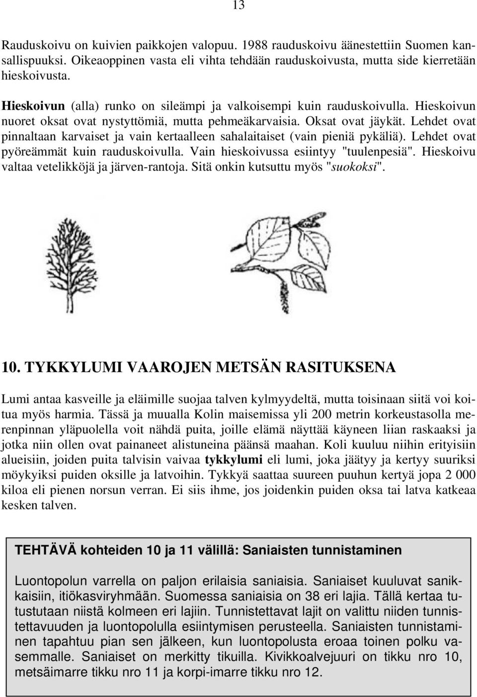 Lehdet ovat pinnaltaan karvaiset ja vain kertaalleen sahalaitaiset (vain pieniä pykäliä). Lehdet ovat pyöreämmät kuin rauduskoivulla. Vain hieskoivussa esiintyy "tuulenpesiä".