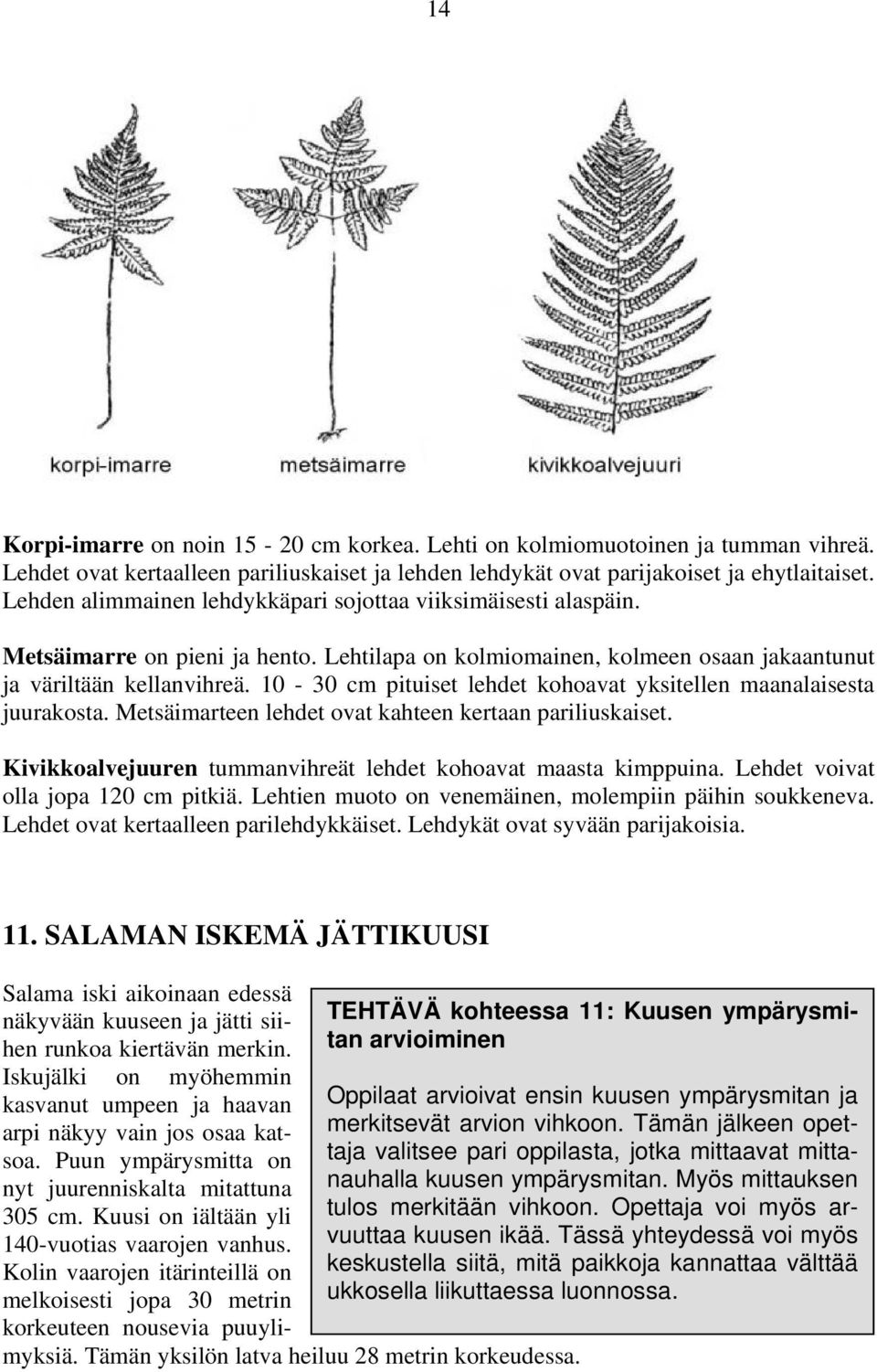 10-30 cm pituiset lehdet kohoavat yksitellen maanalaisesta juurakosta. Metsäimarteen lehdet ovat kahteen kertaan pariliuskaiset. Kivikkoalvejuuren tummanvihreät lehdet kohoavat maasta kimppuina.