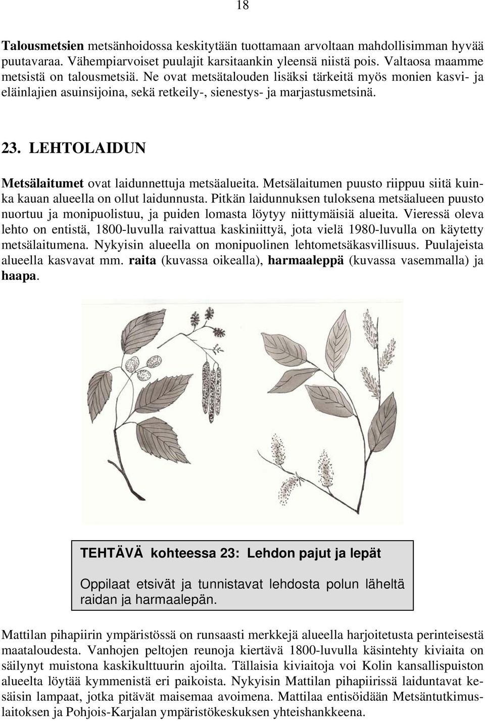 Metsälaitumen puusto riippuu siitä kuinka kauan alueella on ollut laidunnusta. Pitkän laidunnuksen tuloksena metsäalueen puusto nuortuu ja monipuolistuu, ja puiden lomasta löytyy niittymäisiä alueita.