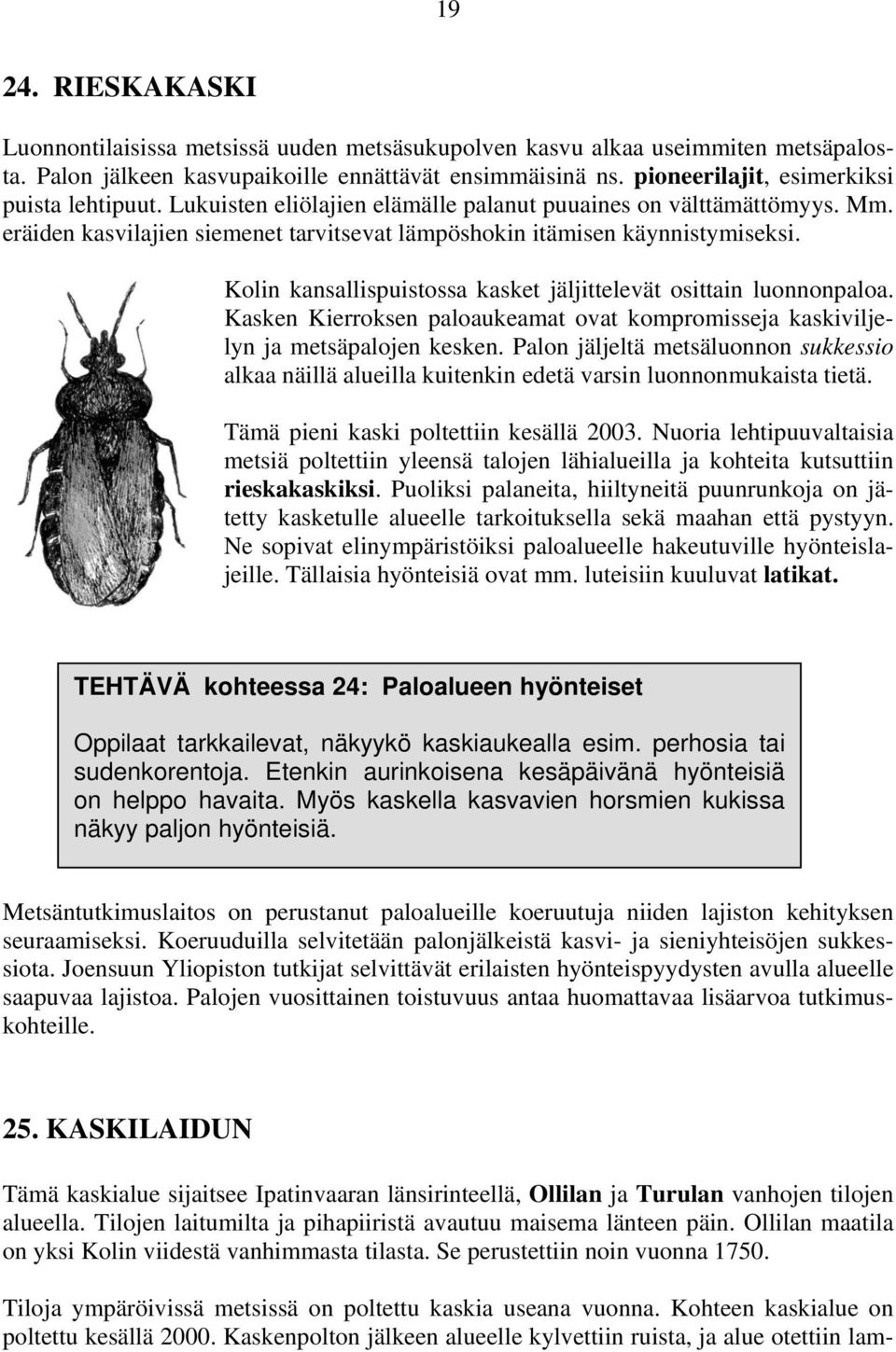 Kolin kansallispuistossa kasket jäljittelevät osittain luonnonpaloa. Kasken Kierroksen paloaukeamat ovat kompromisseja kaskiviljelyn ja metsäpalojen kesken.