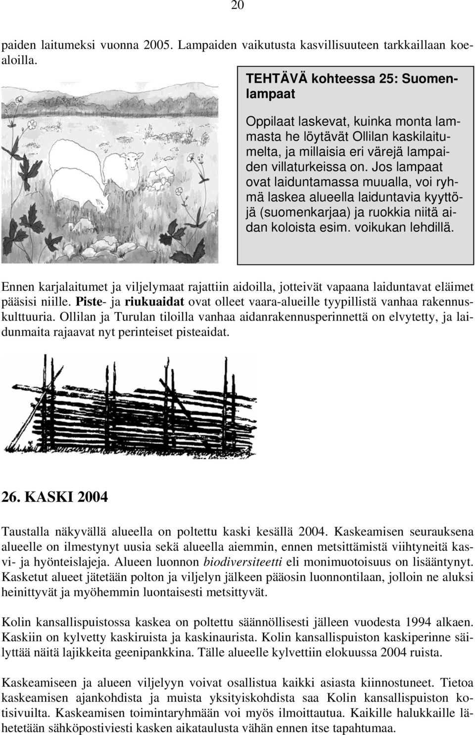 Jos lampaat ovat laiduntamassa muualla, voi ryhmä laskea alueella laiduntavia kyyttöjä (suomenkarjaa) ja ruokkia niitä aidan koloista esim. voikukan lehdillä.