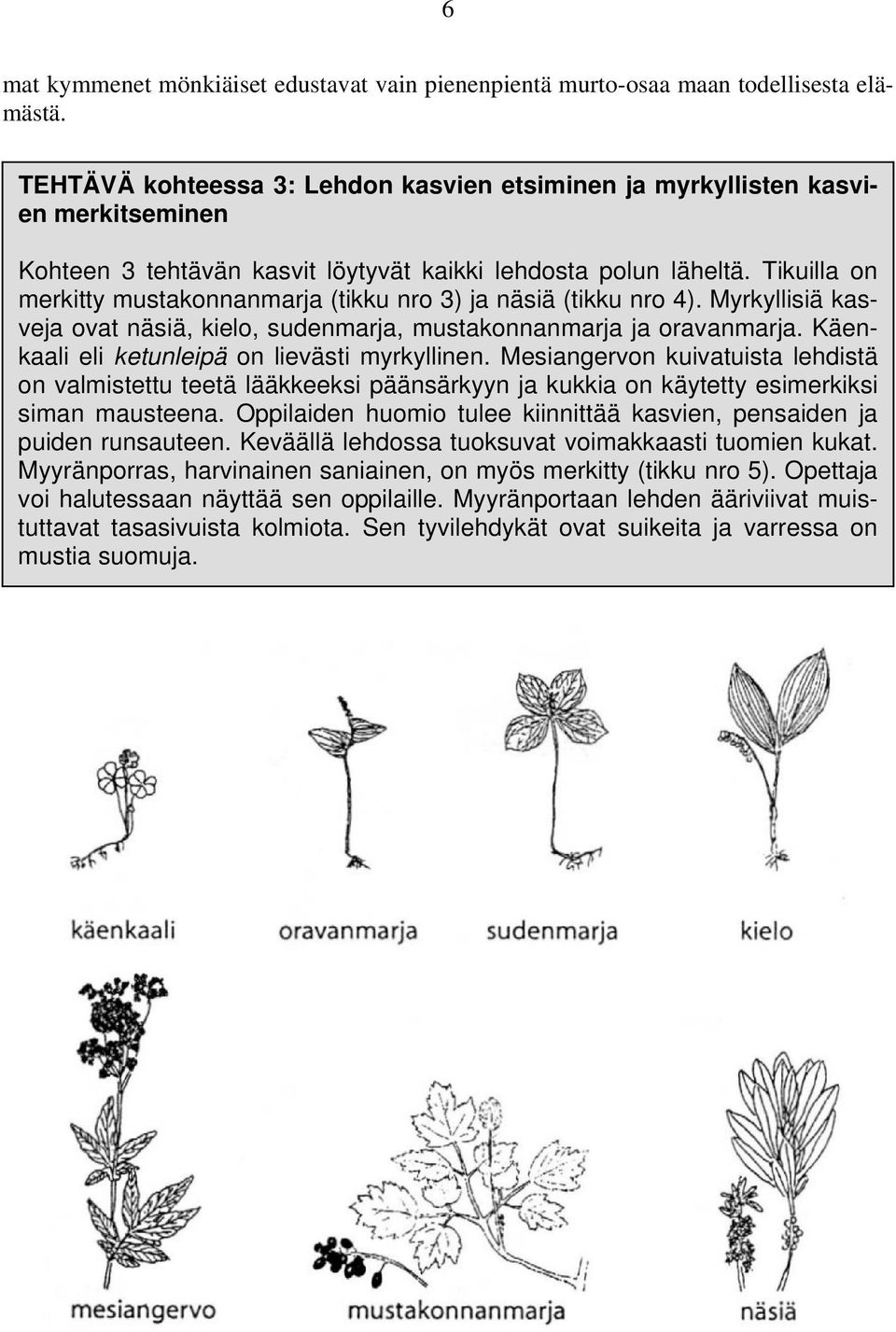 Tikuilla on merkitty mustakonnanmarja (tikku nro 3) ja näsiä (tikku nro 4). Myrkyllisiä kasveja ovat näsiä, kielo, sudenmarja, mustakonnanmarja ja oravanmarja.