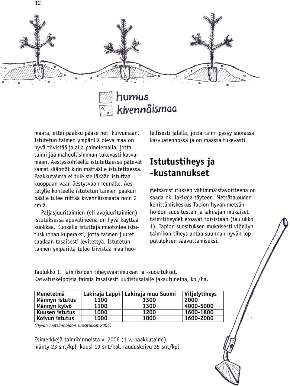 Äestetylle kohteelle istutetun taimen paakun päälle tulee riittää kivennäismaata noin 2 cm:ä. Paljasjuuritaimien (eli avojuuritaimien) istutuksessa apuvälineenä on hyvä käyttää kuokkaa.