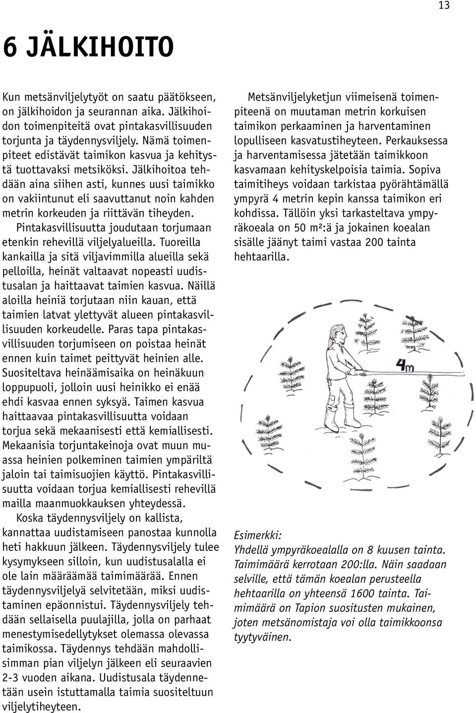 Jälkihoitoa tehdään aina siihen asti, kunnes uusi taimikko on vakiintunut eli saavuttanut noin kahden metrin korkeuden ja riittävän tiheyden.