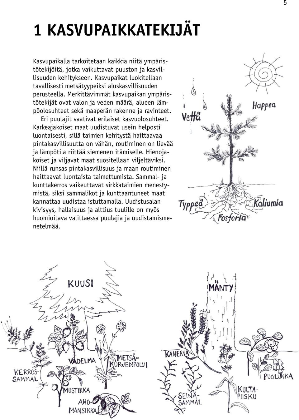 Merkittävimmät kasvupaikan ympäristötekijät ovat valon ja veden määrä, alueen lämpöolosuhteet sekä maaperän rakenne ja ravinteet. Eri puulajit vaativat erilaiset kasvuolosuhteet.