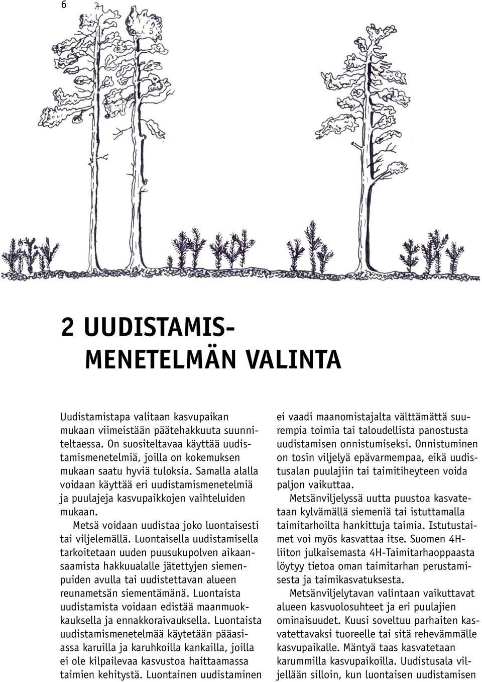 Samalla alalla voidaan käyttää eri uudistamismenetelmiä ja puulajeja kasvupaikkojen vaihteluiden mukaan. Metsä voidaan uudistaa joko luontaisesti tai viljelemällä.