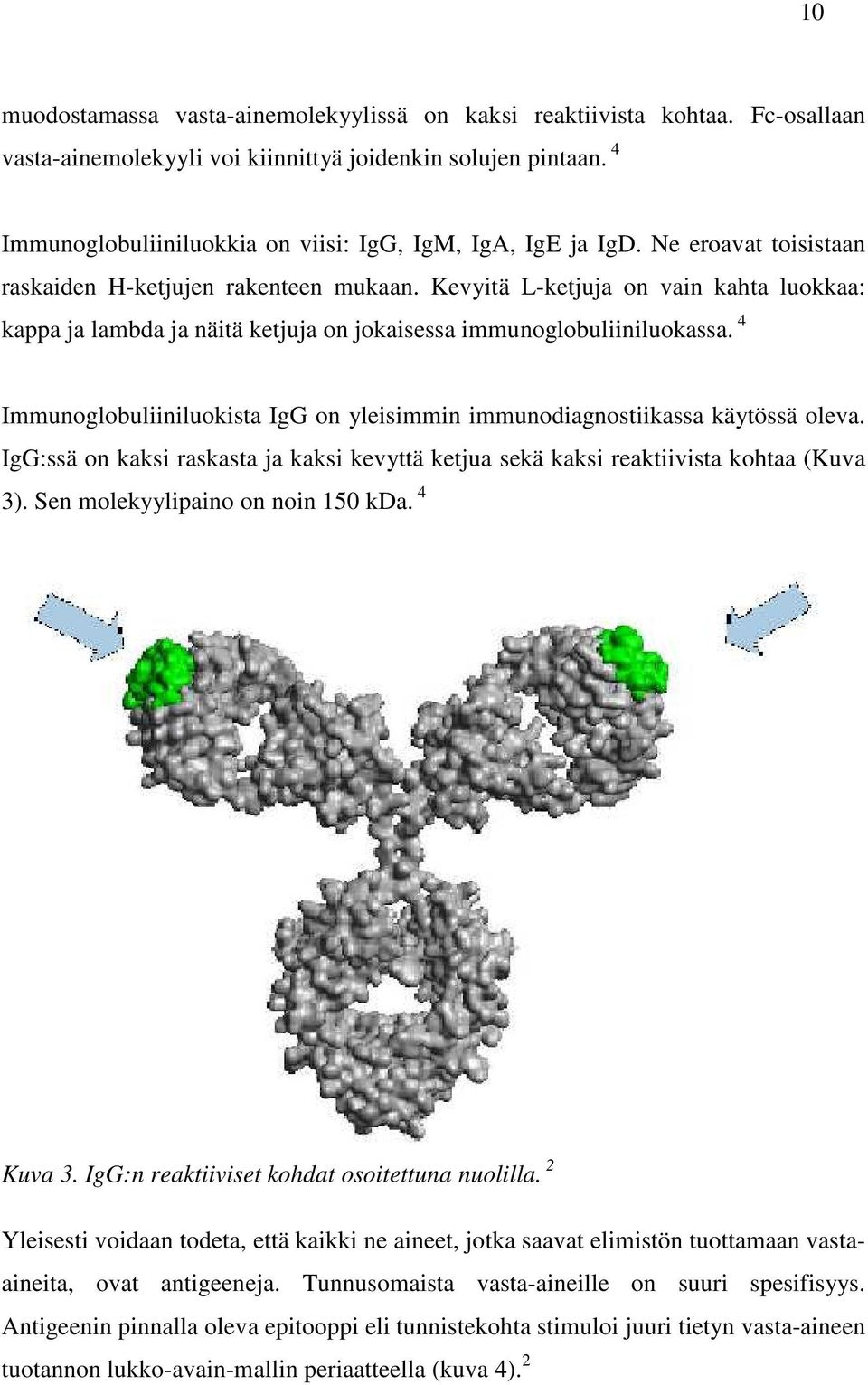 Kevyitä L-ketjuja on vain kahta luokkaa: kappa ja lambda ja näitä ketjuja on jokaisessa immunoglobuliiniluokassa. 4 Immunoglobuliiniluokista IgG on yleisimmin immunodiagnostiikassa käytössä oleva.