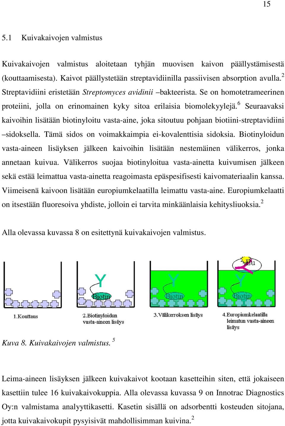 6 Seuraavaksi kaivoihin lisätään biotinyloitu vasta-aine, joka sitoutuu pohjaan biotiini-streptavidiini sidoksella. Tämä sidos on voimakkaimpia ei-kovalenttisia sidoksia.