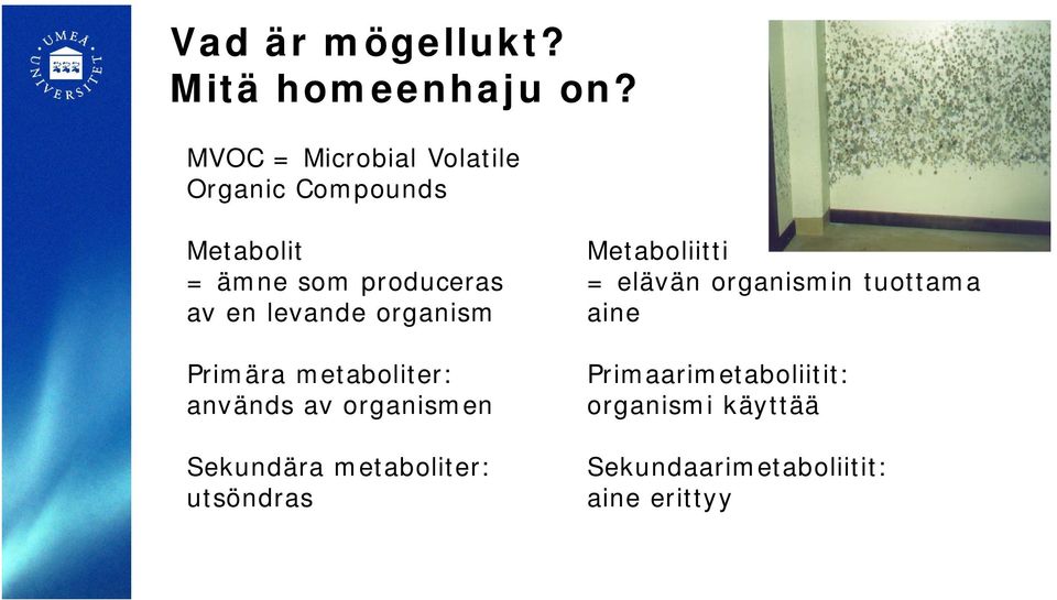 levande organism Primära metaboliter: används av organismen Sekundära metaboliter: