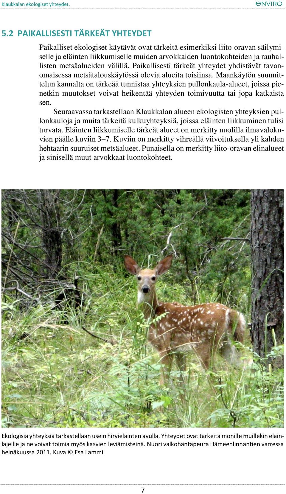 Maankäytön suunnittelun kannalta on tärkeää tunnistaa yhteyksien pullonkaula-alueet, joissa pienetkin muutokset voivat heikentää yhteyden toimivuutta tai jopa katkaista sen.