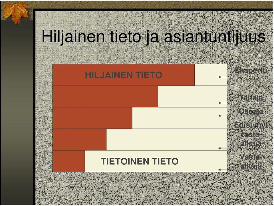 Ekspertti Taitaja Osaaja