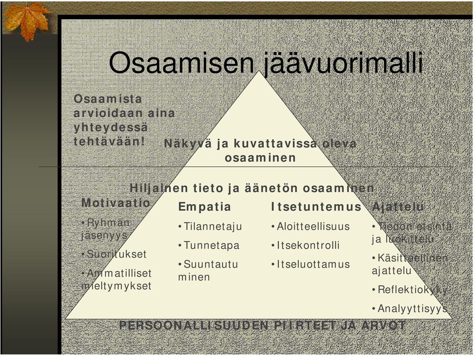 Ajattelu Ryhmän jäsenyys Suoritukset Ammatilliset mieltymykset Tilannetaju Tunnetapa Suuntautu minen