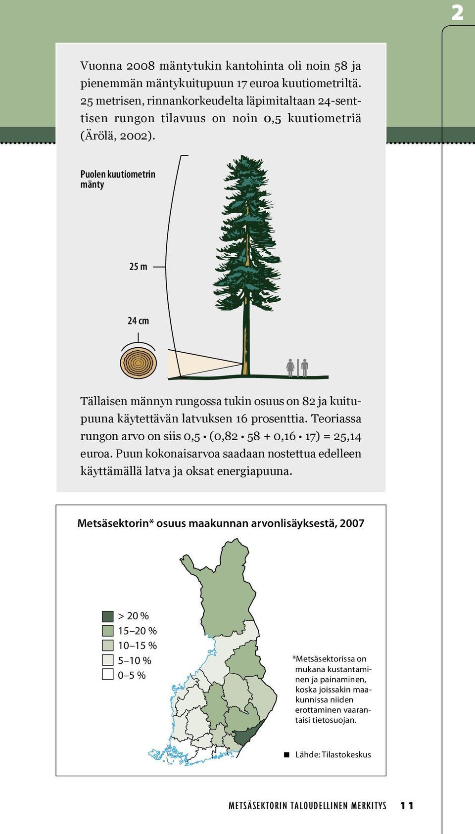 Puolen kuutiometrin mänty 25 m 24 cm Tällaisen männyn rungossa tukin osuus on 82 ja kuitupuuna käytettävän latvuksen 16 prosenttia. Teoriassa rungon arvo on siis 0,5 (0,82 58 + 0,16 17) = 25,14 euroa.