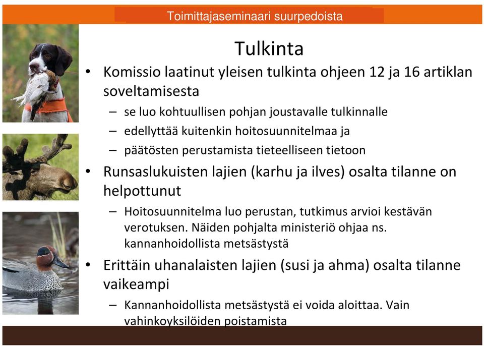 helpottunut Hoitosuunnitelma luo perustan, tutkimus arvioi kestävän verotuksen. Näiden pohjalta ministeriö ohjaa ns.