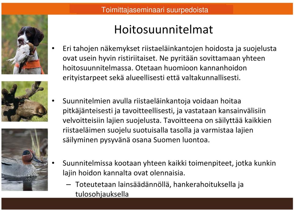 Suunnitelmien avulla riistaeläinkantoja voidaan hoitaa pitkäjänteisesti ja tavoitteellisesti, ja vastataan kansainvälisiin velvoitteisiin lajien suojelusta.