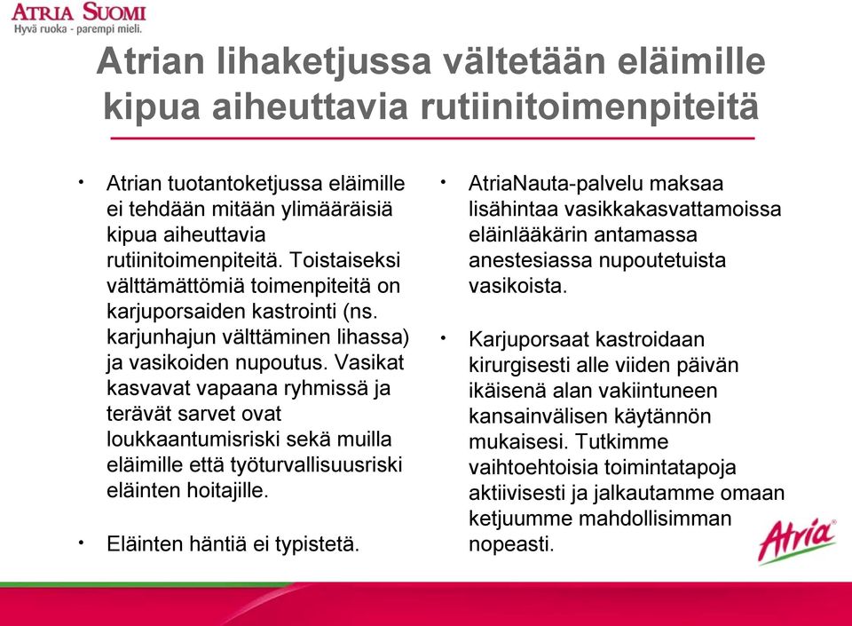 Vasikat kasvavat vapaana ryhmissä ja terävät sarvet ovat loukkaantumisriski sekä muilla eläimille että työturvallisuusriski eläinten hoitajille. Eläinten häntiä ei typistetä.