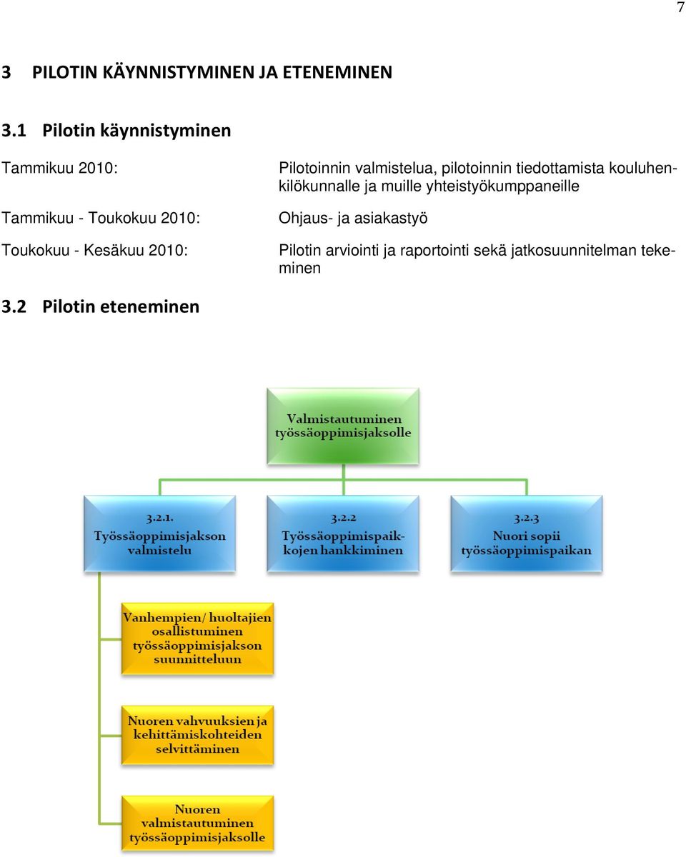 2010: Pilotoinnin valmistelua, pilotoinnin tiedottamista kouluhenkilökunnalle ja