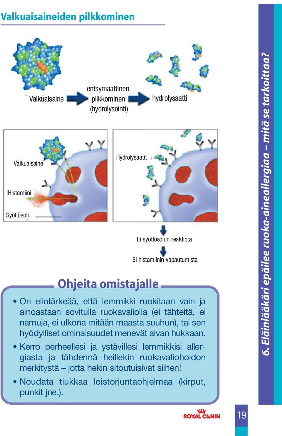 mitään maasta suuhun), tai sen hyödylliset ominaisuudet menevät aivan hukkaan.