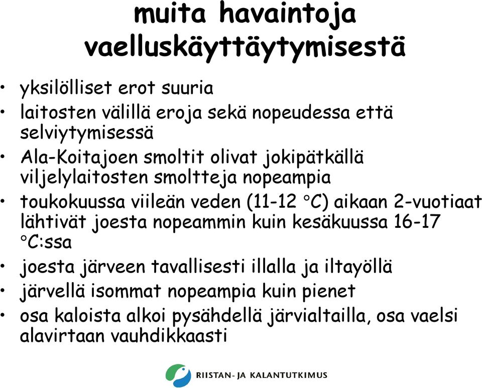 (11-12 C) aikaan 2-vuotiaat lähtivät joesta nopeammin kuin kesäkuussa 16-17 C:ssa joesta järveen tavallisesti illalla ja