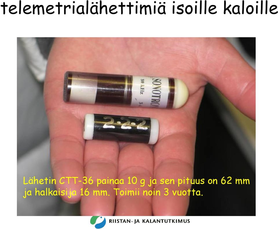10 g ja sen pituus on 62 mm ja